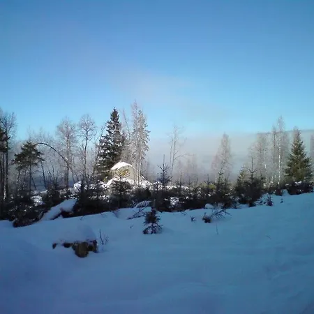 アパート Finkennest *