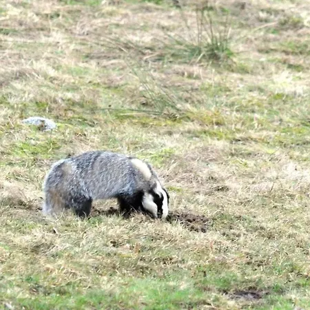 アパート Finkennest