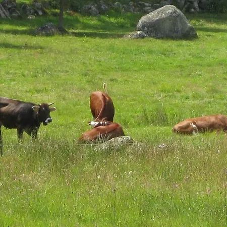 アパート Finkennest シュルッフゼー