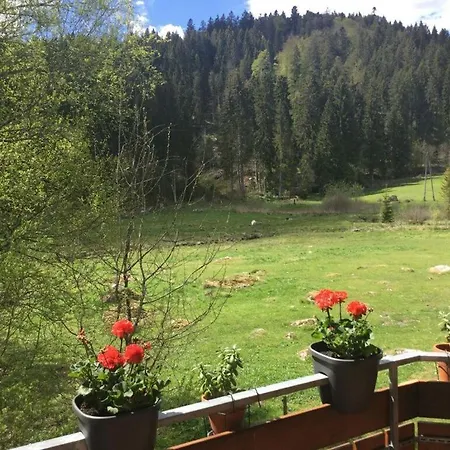 Finkennest アパート